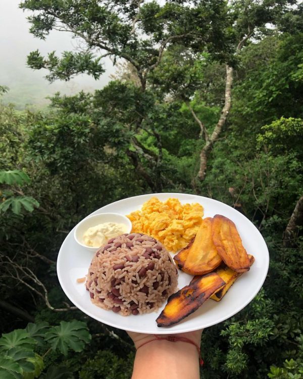 Costa Rican Cuisine Tour | 1 person - Image 4