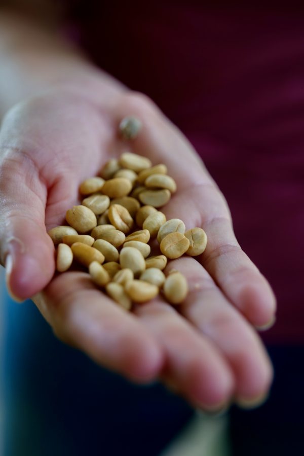 Montes de Oro Organic Coffee Tour | 1 person - Image 4