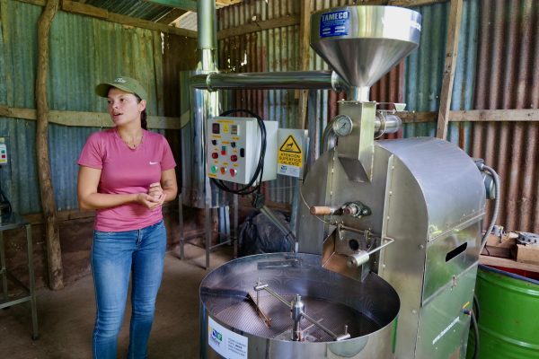 Montes de Oro Organic Coffee Tour | 1 person