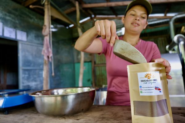 Montes de Oro Organic Coffee Tour | 1 person - Image 2