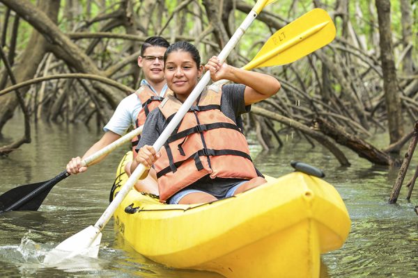 Mangrove Tour | 2 people - Image 3