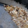 Old Gold Mine Tour | 1 person - Image 4