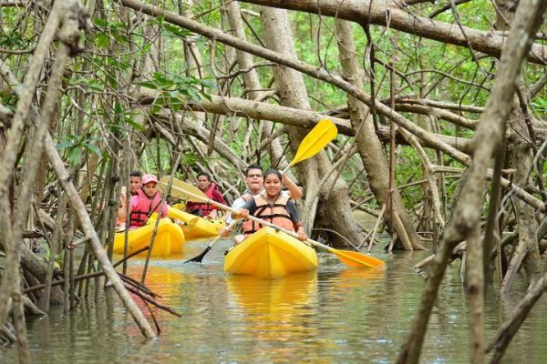 Mangrove Tour | 2 people